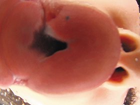 ダブルバーチャルレズベロキス 4　サンプル画像03